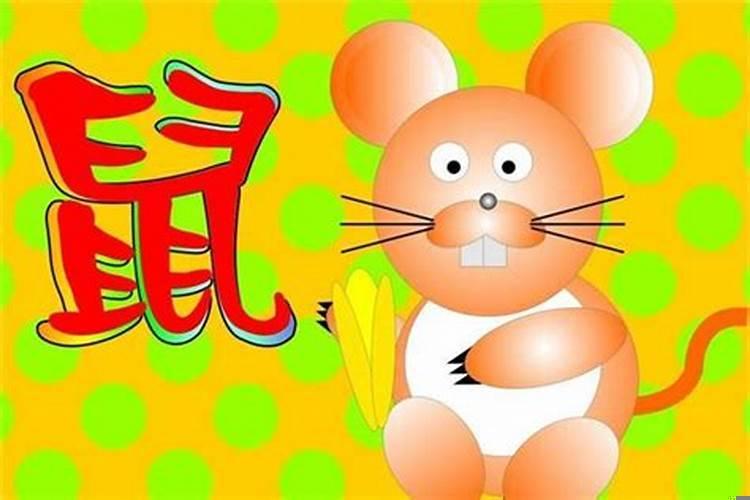 属鼠的几月份的出生几月份的比较好