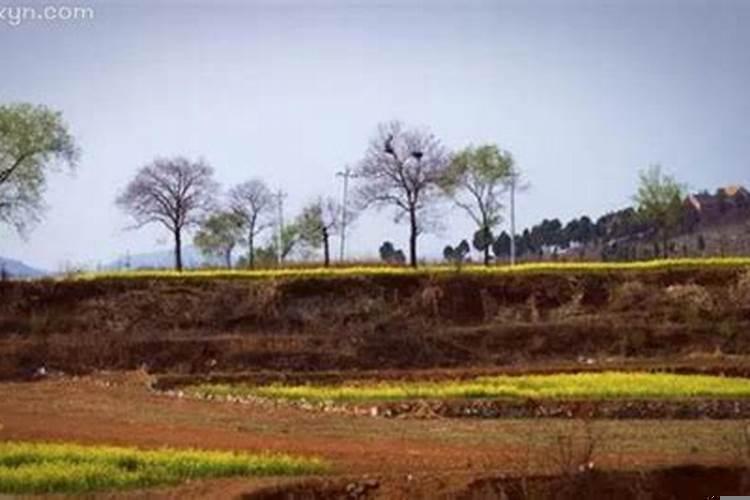 梦到姐姐哭意味着什么