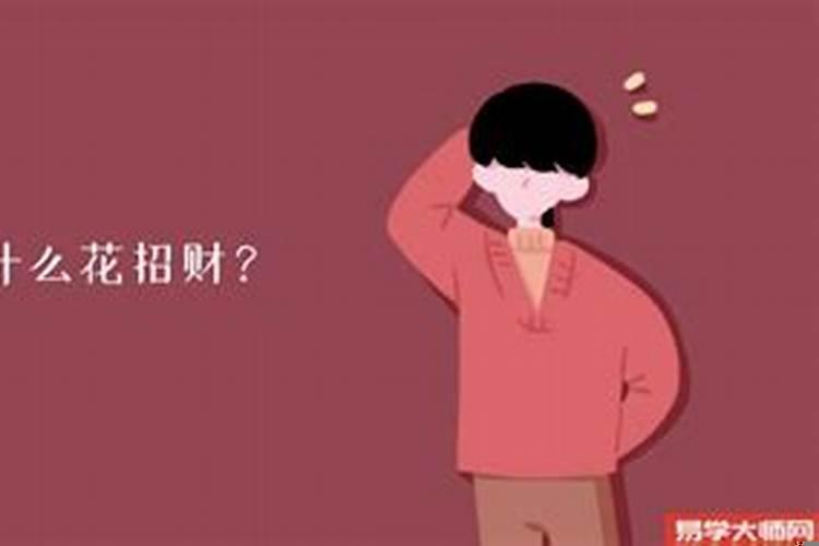 客厅放什么可以招财