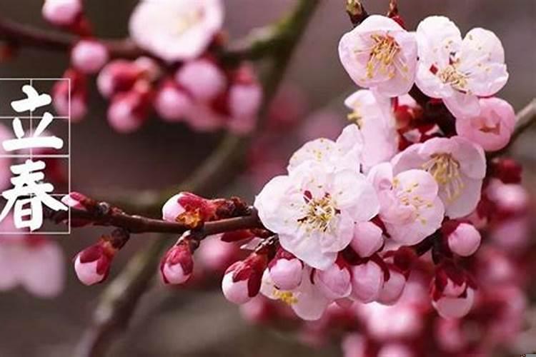 2025年立春日是甲子日吗