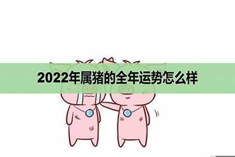 属猪今年运势2022年运势