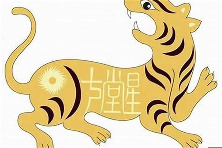 62年属虎的是什么命属虎的人命运