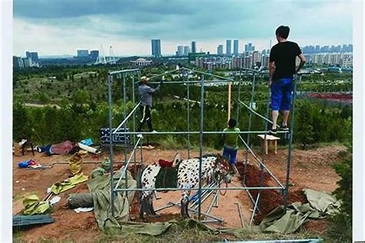 院子里南边能搭棚子吗