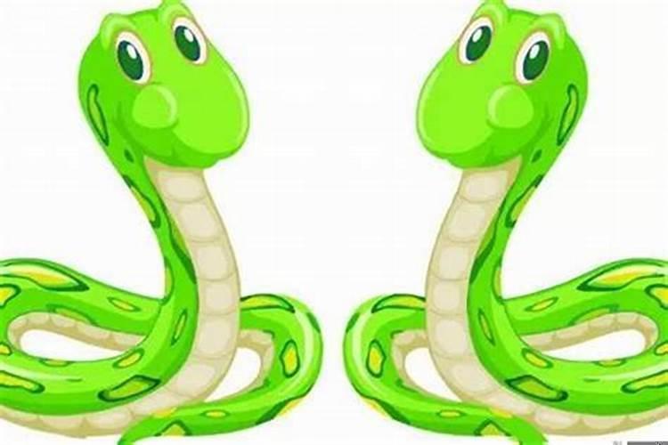 属蛇的女子和哪些属相婚配好