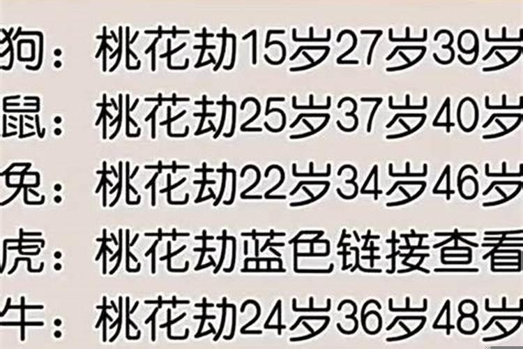 十二生肖桃花劫时间表