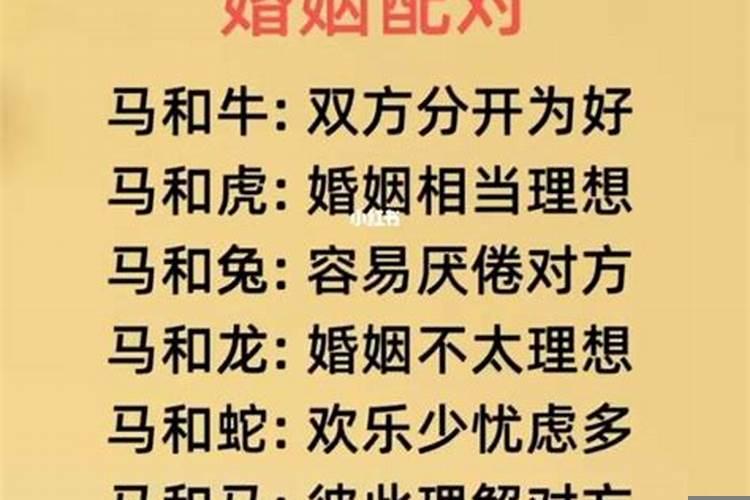 属马男人的命运与婚姻