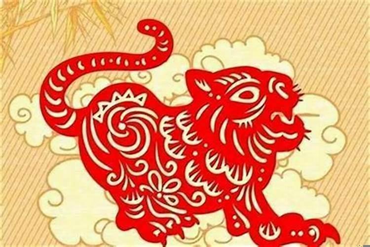 86年属虎女一生的命运如何