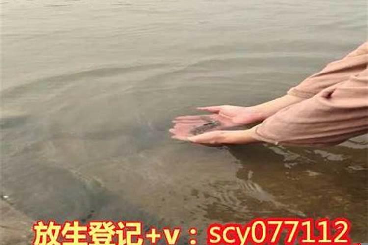 1993年属鸡女2025年结婚吉日