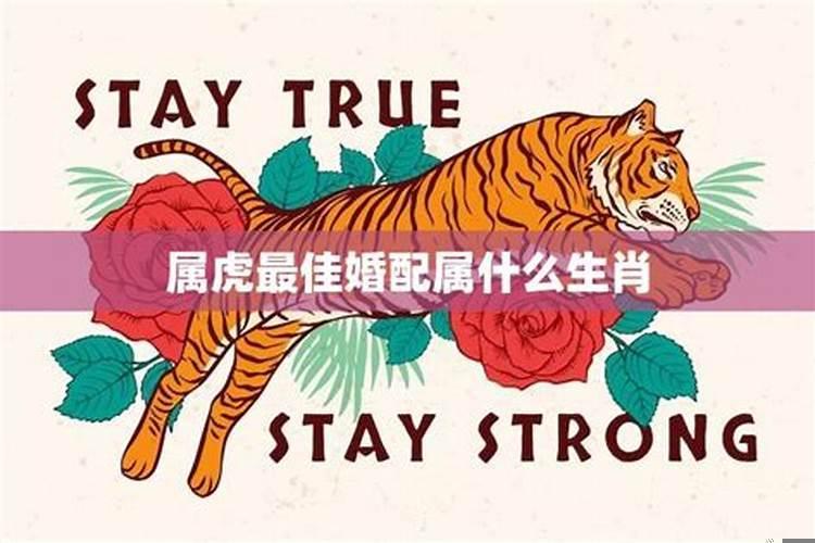 虎年出生婚姻要和什么年出生的相配