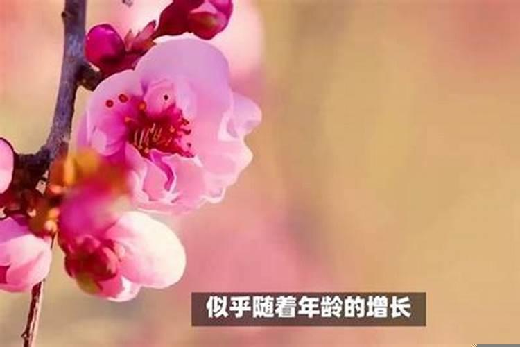 年纪越大桃花运越旺的人