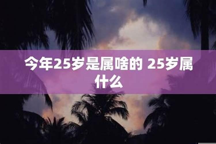 2017年25岁属什么