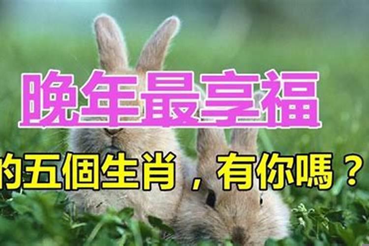 几大生肖早年辛苦晚年幸福