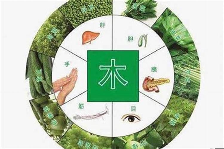 属猪的牛年婚姻