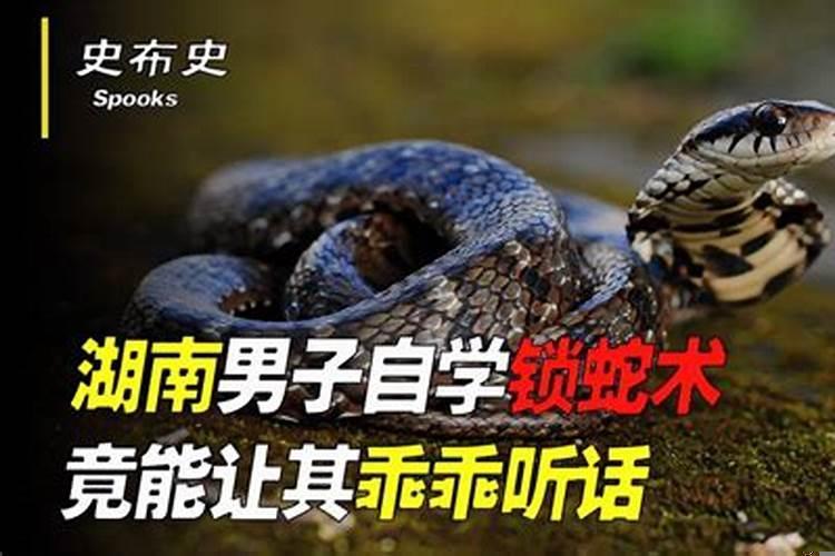 蛇缠门锁是好是坏