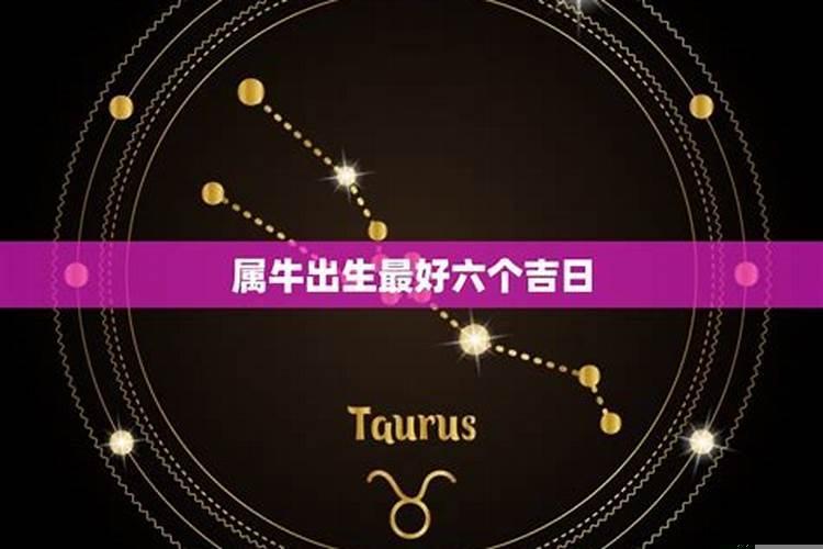 属龙几月出生属大富大贵