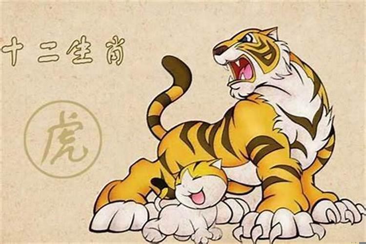 龙争虎斗说的是哪个生肖