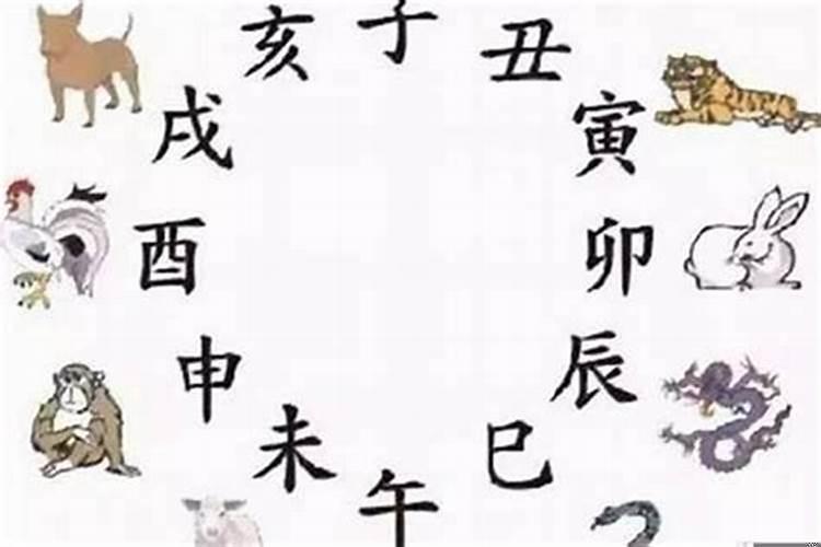 属马和属鼠相冲吗