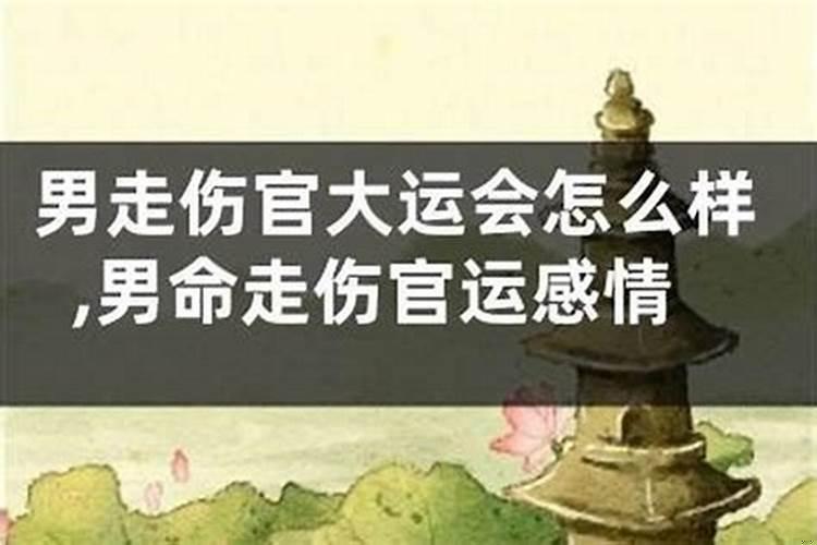 身弱走正印流年