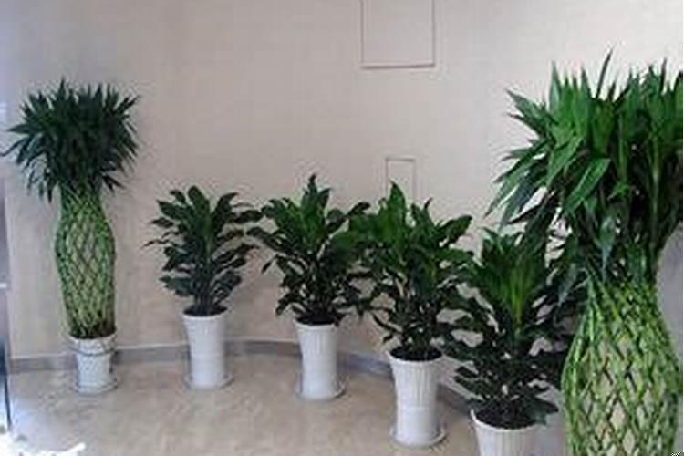 售楼部给出的售价能讲价吗