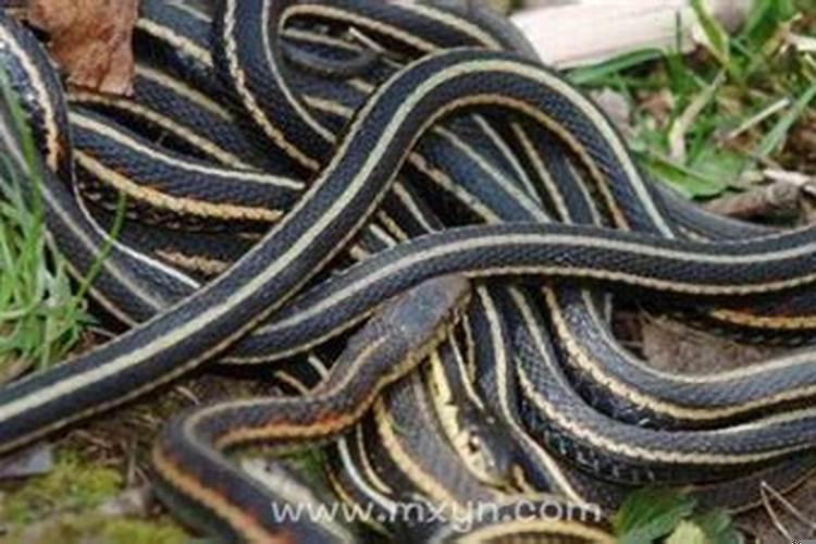 梦见迁坟怎样也迁不好了