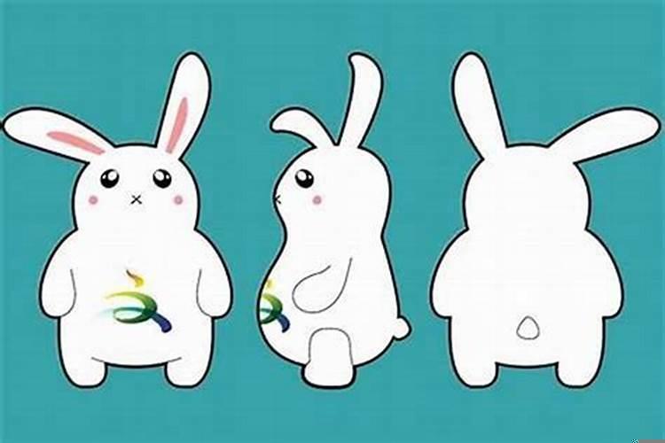 属兔的吉祥物是什么物