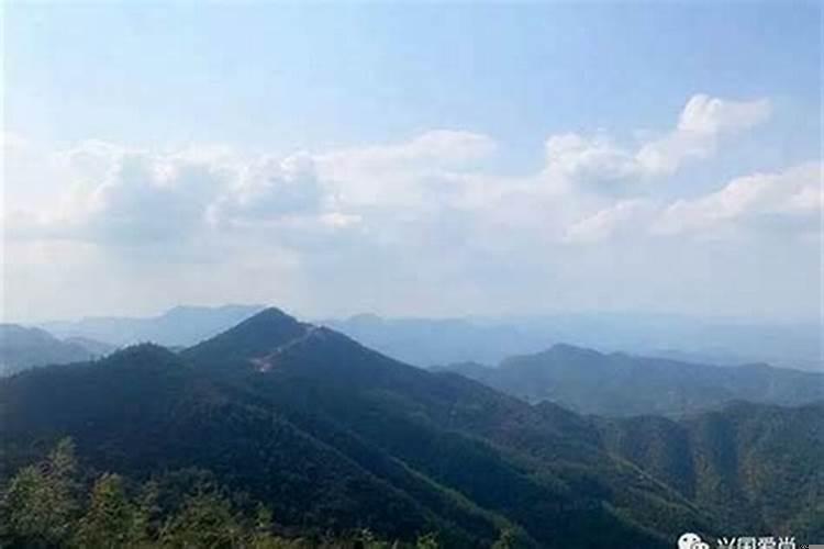 家里边放什么植物比较好