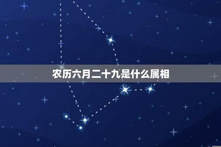 一九七七年属蛇男人的性格