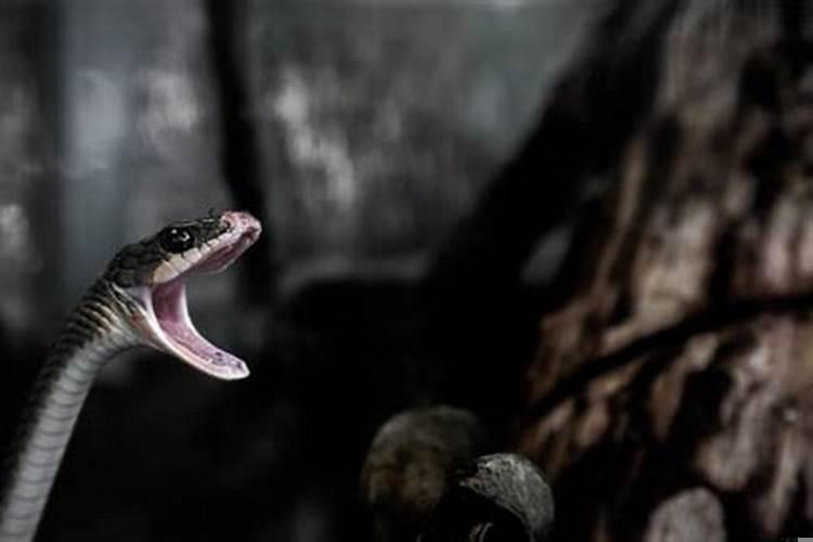 梦到老公不回家是什么意思