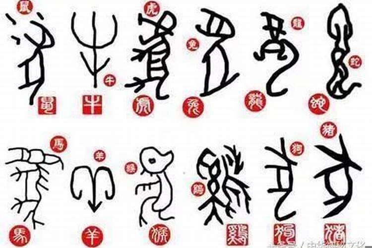 2021年避春的属相