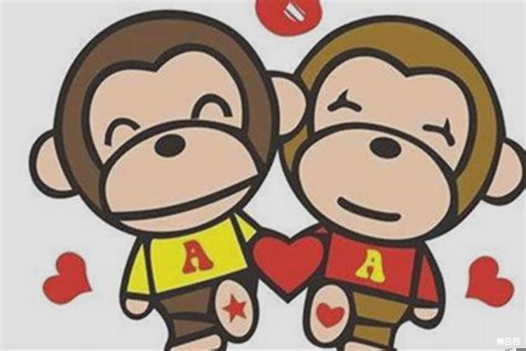 狗和猴相配婚姻如何旺财