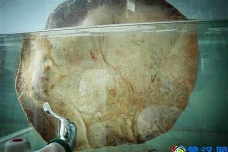 本命年为啥要穿红袜子