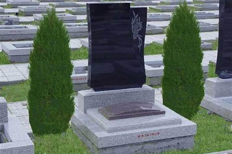 墓碑前面有松树好吗