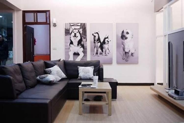 家里有哪些东西是不利于财运的