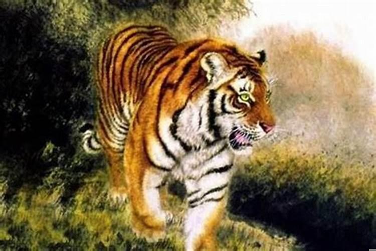 74年属虎的是什么命属虎的人命运