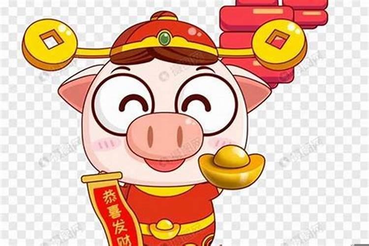 属猪那年会发财