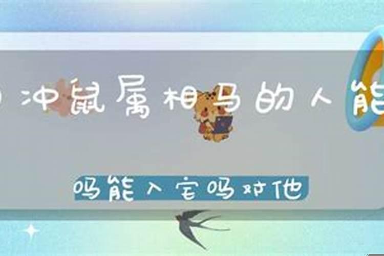 属马和属鼠相冲吗