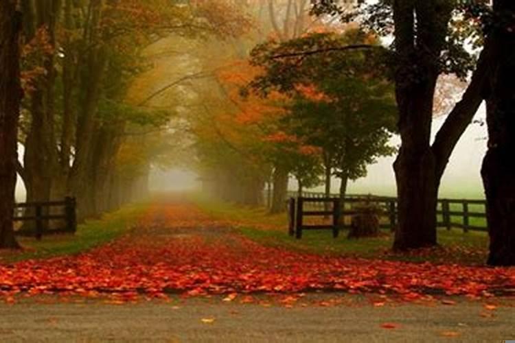 八字合婚的重要性