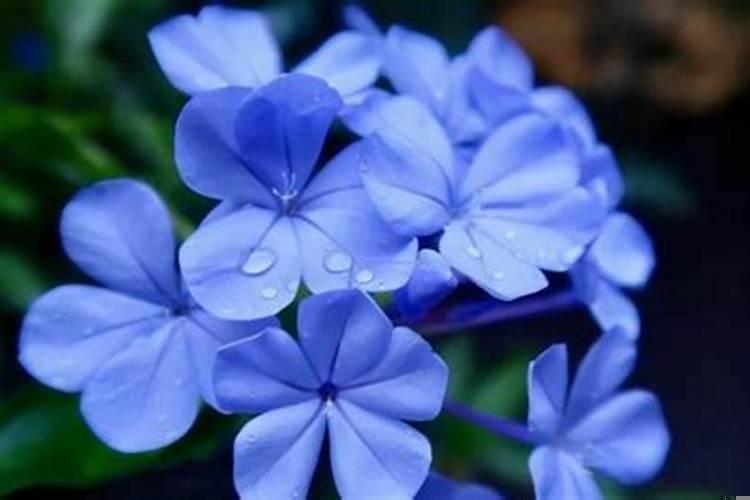 巨蟹女擅长攻心