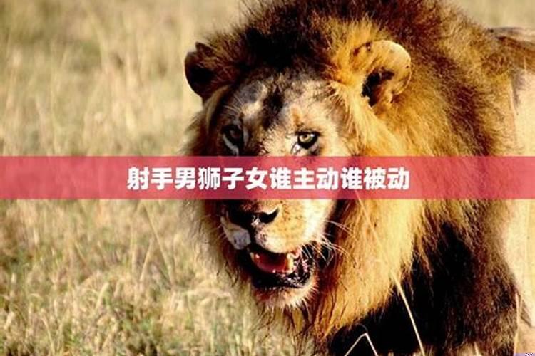 狮子男和射手女谁主动