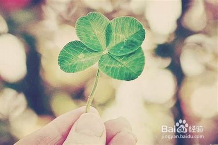 运气太好了不是好事