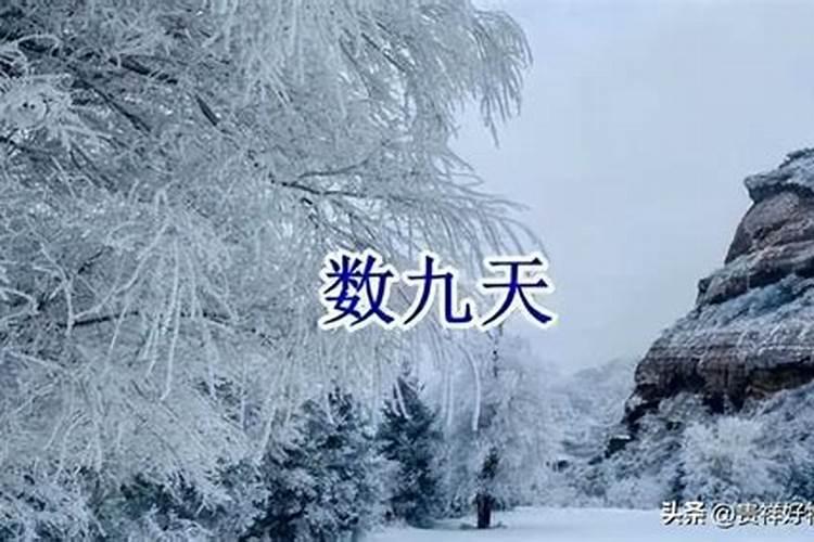 数九从哪一天开始2019年