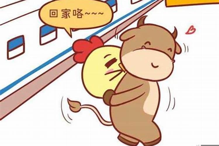 属鸡男与属牛女配婚姻好不好