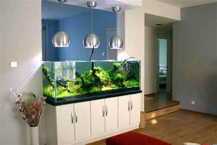 家中摆放鱼缸与属相