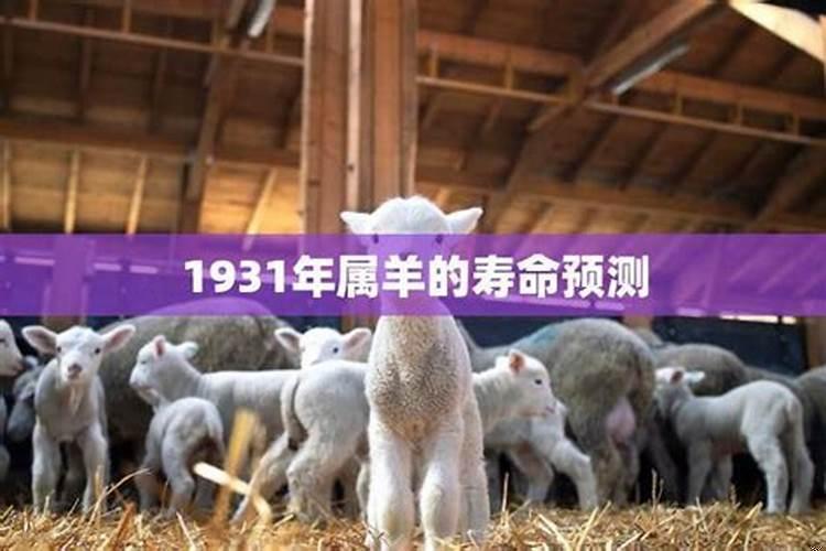 1930年属羊最终寿命