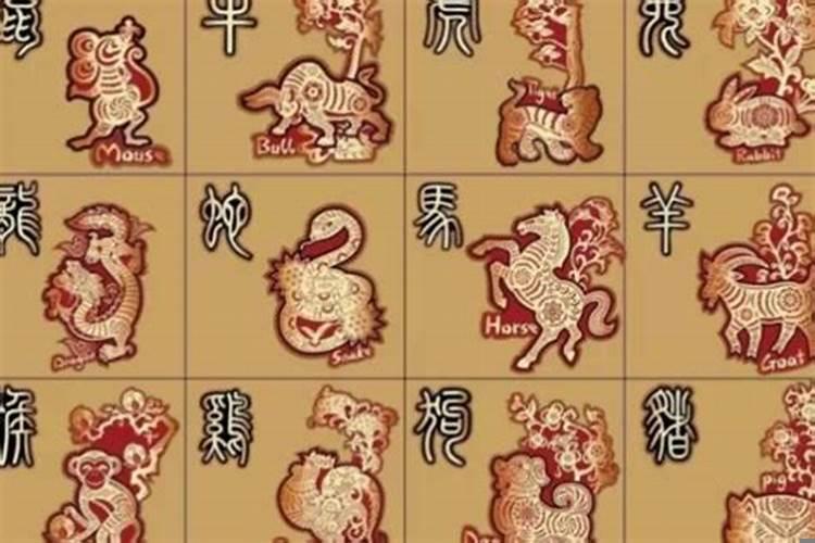 十二生肖猪下来是什么