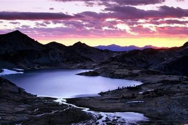 生肖狗和猪2025年结婚好吗