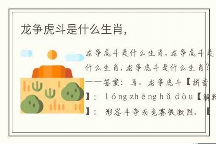 龙争虎斗说的是哪个生肖