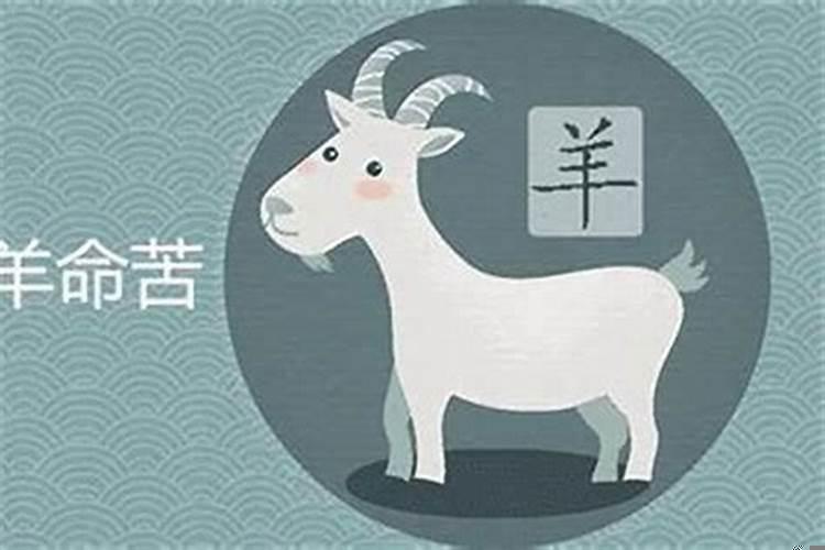 属羊的人性格和优缺点