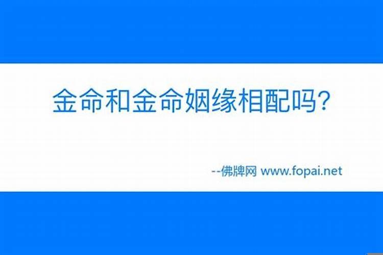 金命和金命配吗