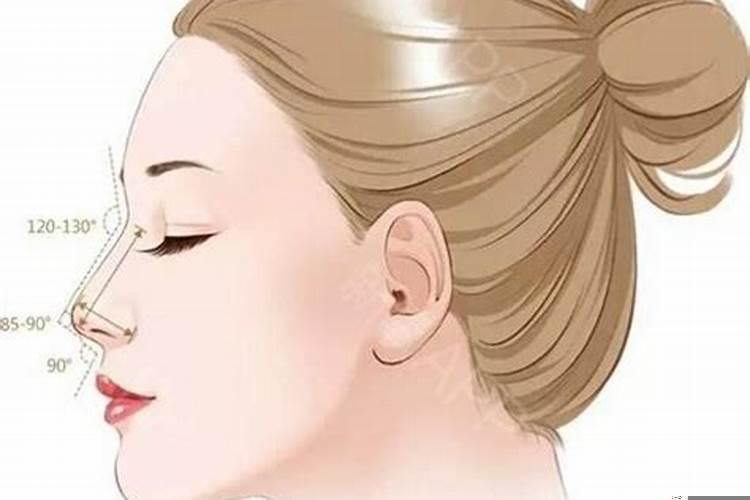 鼻子象征着什么